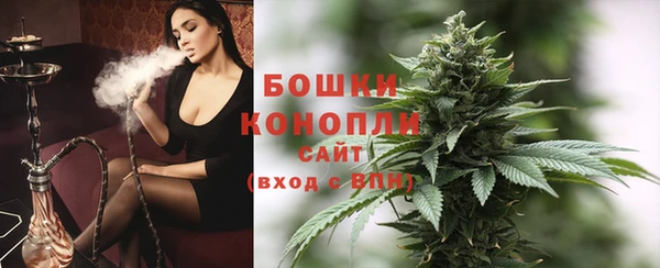 PSILOCYBIN Киренск