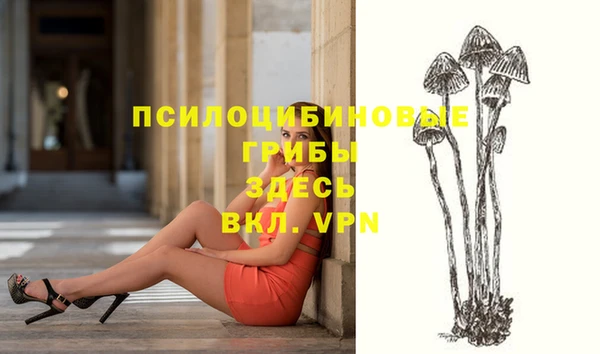 a pvp Кодинск