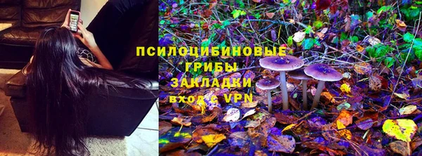 a pvp Кодинск