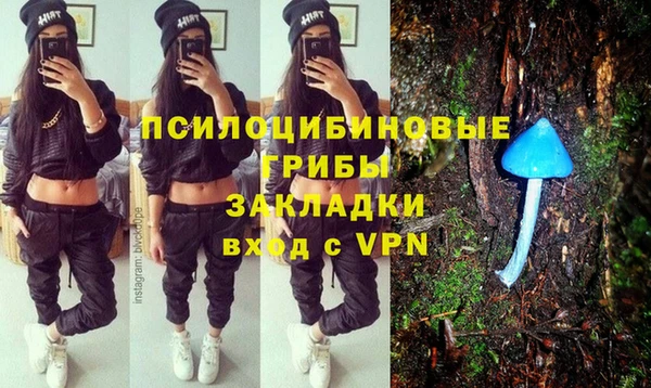 спайс Козловка