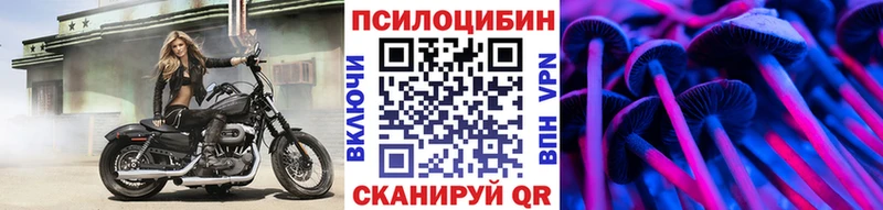 дарнет шоп  маркетплейс Telegram  Псилоцибиновые грибы MAGIC MUSHROOMS  Краснокамск 
