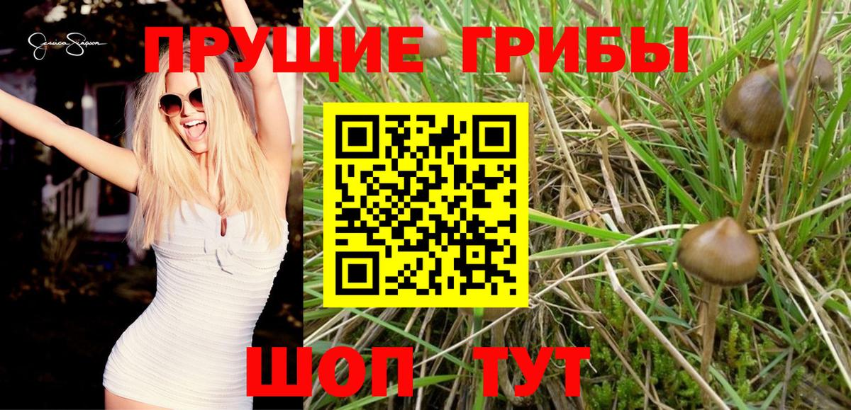 Псилоцибиновые грибы прущие грибы Краснокамск